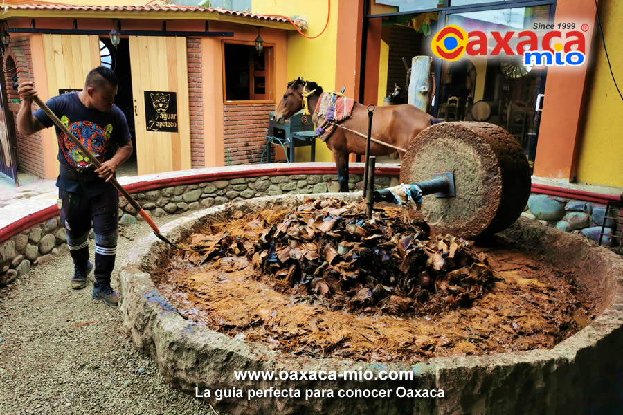 la gastronomia de oaxaca