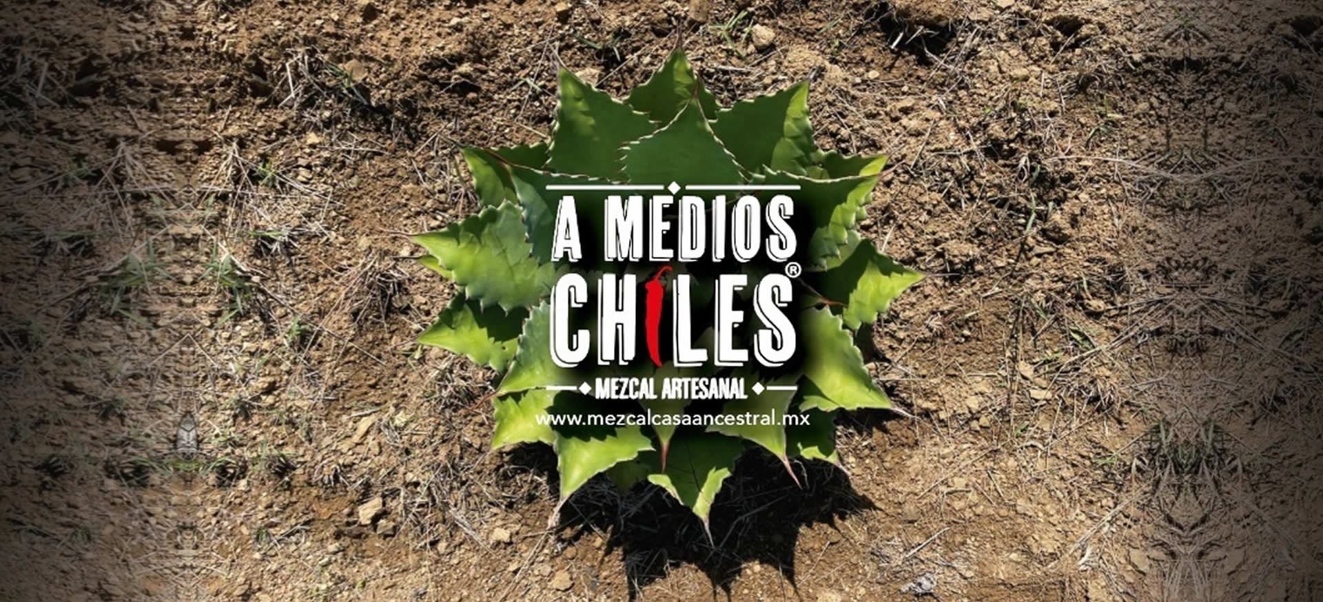 A Medios Chiles Mezcal Artesanal