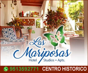 LAS MARIPOSAS OAXACA